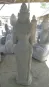 morepic-6